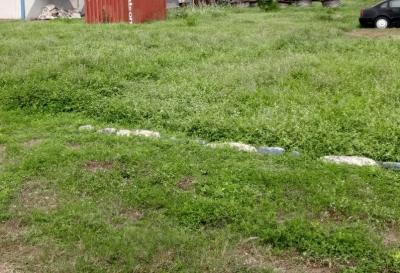 Land 500sqm, Yaba, Lagos, Residential Land for Sale