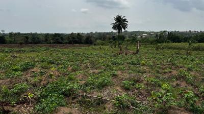 Residential Land, The Plg Estate with C of O, Ijebu East, Ogun, Residential Land for Sale