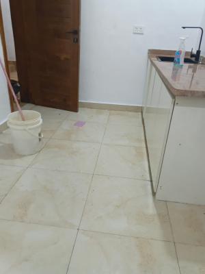 Fully Serviced Mini Flat, Salem, Ikate, Lekki, Lagos, Mini Flat (room and Parlour) for Rent