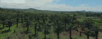 4.37 Hectares of Land (private Housing), Wasa, Apo, Abuja, Mixed-use Land for Sale