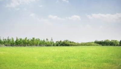 30,000 Sqm - Title: Governors Consent, Chevron Drive, Lekki, Lagos, Mixed-use Land for Sale