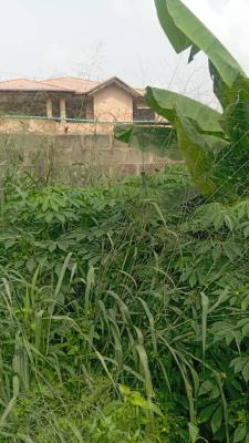 Prime Dry Land of Approximately 675sqm, Labak Estate, New Oko-oba, Agege, Lagos, Residential Land for Sale