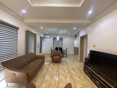 Topnotch 1 Bedroom Furnished Apartment,24/ 7 Services, Elevator, Katampe (main), Katampe, Abuja, Flat / Apartment for Rent