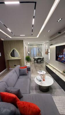 2 Bedroom Furnished Apartment, Ikate, Lekki, Lagos, Flat / Apartment for Rent