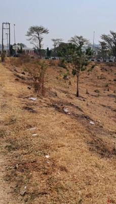 4.5 Hectares, Opposite Sahad Stores, Central Business District, Abuja, Commercial Land for Sale
