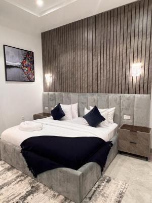 a Fully Serviced Classy 2 Bedroom Furnished Apartment, Lekki Phase 1, Lekki, Lagos, Flat / Apartment for Rent