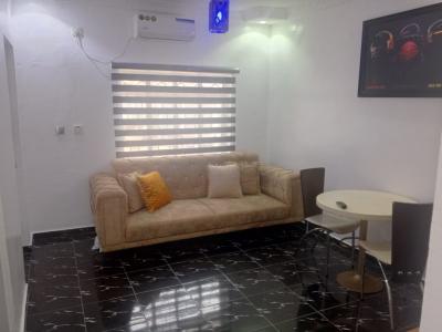 Beautifully Furnished Miniflat, Calabar Street, Adisa Bashua Estate., Surulere, Lagos, Mini Flat (room and Parlour) for Rent
