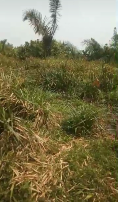 Six Plots of Land (with Governors Consent), Temu Town, Itokin Epe Road, Epe, Lagos, Mixed-use Land for Sale