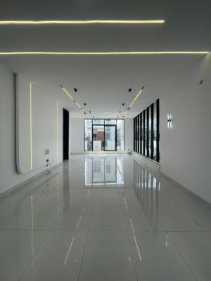 Exquisite 5 Bedroom Duplex, Chevron, Lekki, Lagos, Detached Duplex for Sale