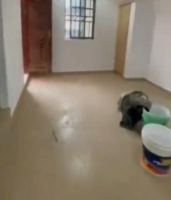 Standard, Spacious, Well Maintained One Bedroom Apartment, Ebute Metta, Yaba, Lagos, Mini Flat (room and Parlour) for Rent