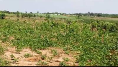 Land Measuring 35 Hectares with C of O, Guzape 2, Guzape District, Abuja, Mixed-use Land for Sale