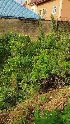 Fresh Virgin Half Plot of Land, Lasu Isheri Road, Igando, Ikotun, Lagos, Residential Land for Sale