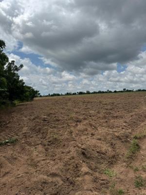Acquire  Multiple Verified Farm Land at All Inclusive, No Extra Cost, Ofuape Village, After Rounder Junction, Igbo Ora Road, Abeokuta, Abeokuta North, Ogun, Mixed-use Land for Sale