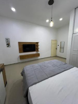 Furnished Studio Apartment, Victoria Island (vi), Lagos, Self Contain (single Rooms) for Rent