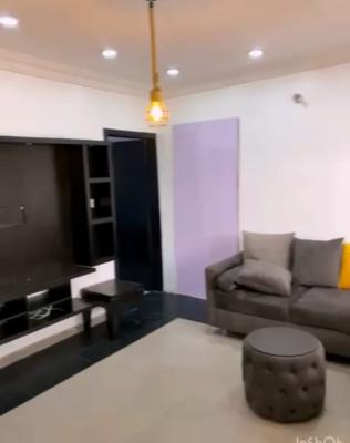 Luxury Unfurnished and Furnished 1 Bedroom Apartment, Osapa London, Lekki, Lagos, Mini Flat (room and Parlour) for Rent