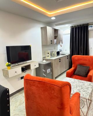 Nicely Furnished Studio Apartment, Asokoro District, Abuja, Flat / Apartment Short Let