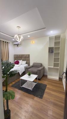 Luxury Studio Apartment