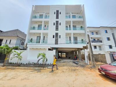 Amazingly Built 2 Bedroom Apartment with Elevator, Ikate, Lekki, Lagos, Flat / Apartment for Sale