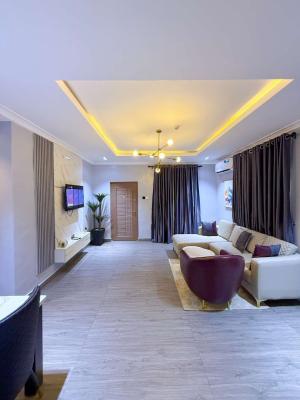 Nicely Furnished 2 Bedroom Apartment, Opebi, Ikeja, Lagos, Flat / Apartment Short Let