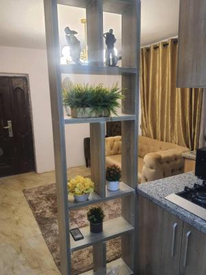 Beautifully Furnished 2 Bedroom Apartment, Aguda, Surulere, Lagos, Flat / Apartment for Rent
