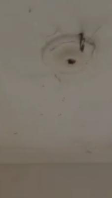 Newly Spacious Mini Flat with Pop Prepaid Meter,, Akute, Ifo, Ogun, Mini Flat (room and Parlour) for Rent