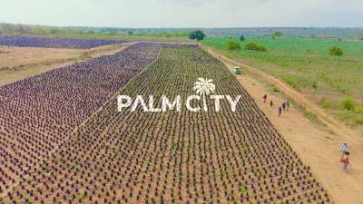 Invest in a Piece of Thriving Palm Industry, Palm City, Dananu Village, Ogbomosho South, Oyo, Commercial Land for Sale
