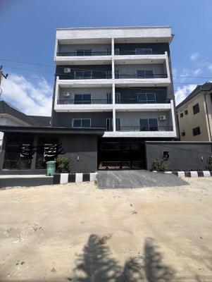 Fully Serviced 2 Bedroom Apartment with En-suite Rooms, 2 Bedroom Apartment for Rent, Ikate, Lekki, Lagos, Flat / Apartment for Rent
