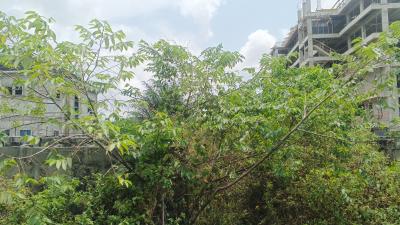 Land Measuring 450 Square Meters, Royal Gardens Estate, Lakowe, Ibeju Lekki, Lagos, Residential Land for Sale