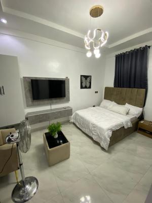 1 Bedroom Terraced Duplex, Salem, Lekki, Lagos, Terraced Duplex Short Let