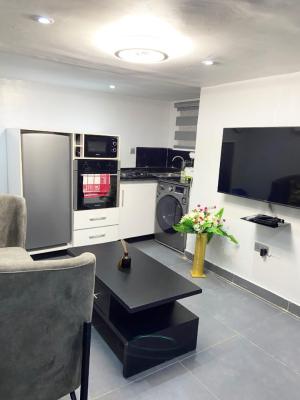 Nicely Furnished 1 Bedroom Apartment, Maryland, Lagos, Flat / Apartment Short Let