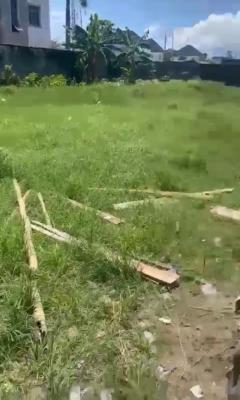 Cornerpiece 675 Sqm of Land Suitable for All Kinds of Commercial, General Paint, Ajah, Lagos, Commercial Land for Rent