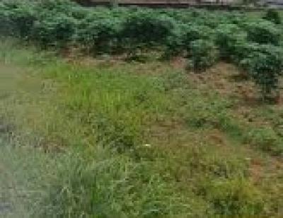 1007sqm Prime Parcel of Land, Kemta Housing Estate, Idiaba, Abeokuta South, Ogun, Residential Land for Sale