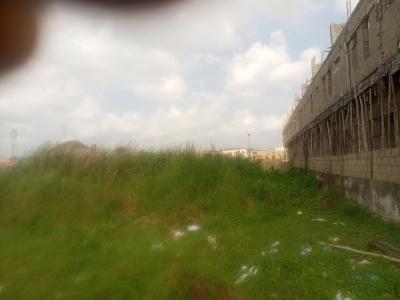 Land in Beautifully Developed Estate, Lekki Palms City, Ajah, Lagos, Residential Land for Sale