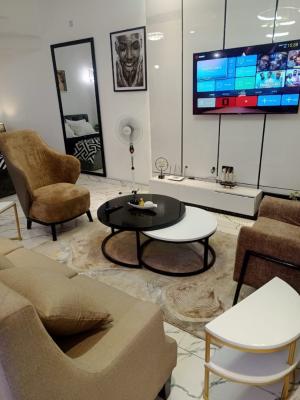 Fully Furnished Standard Studio Apartment, Chevy View, Lekki, Lagos, Self Contain (single Rooms) for Rent