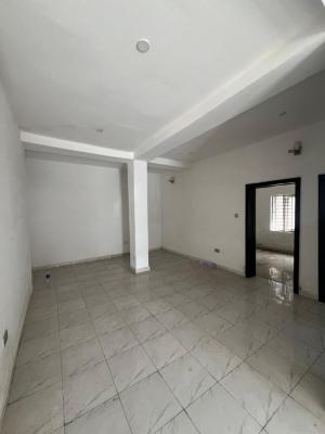 2 Bedroom Apartment, Ikate, Ikate, Lekki, Lagos, Flat / Apartment for Rent