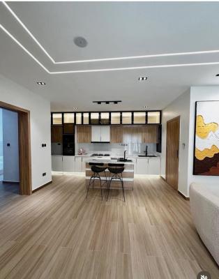 a Fully Furnished 2 Bed Apartment, Ikate, Lekki, Ikate, Lekki, Lagos, Flat / Apartment for Rent