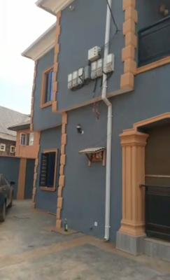 Recently Built Spacious One Bedroom Apartment, New Oko Oba, Abule Egba, Agege, Lagos, Mini Flat (room and Parlour) for Rent
