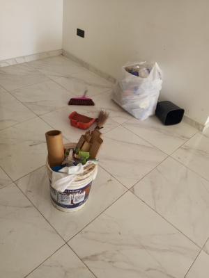 Three Bedroom Flat Ensuite with 2 Exclusive Sit in Balconies, Lekki, Lagos, Flat / Apartment for Rent