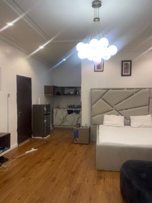 Well Furnished Studio Apartment for Monthly Stay, Oral Estate, Lekki, Lagos, Self Contain (single Rooms) Short Let
