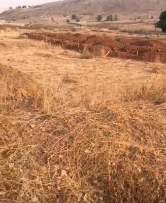 About 1,471sqm Plot of Land, Besides Bola Ahmed Tinubu Barracks and Navy Estate, Asokoro District, Abuja, Residential Land for Sale
