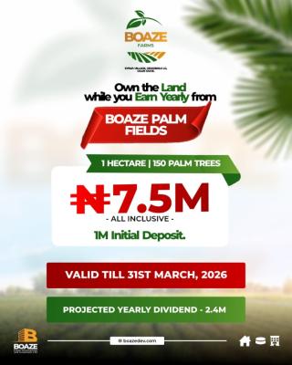 Registered Survey, Eyiwa Village, Odogbolu, Ogun, Commercial Land for Sale