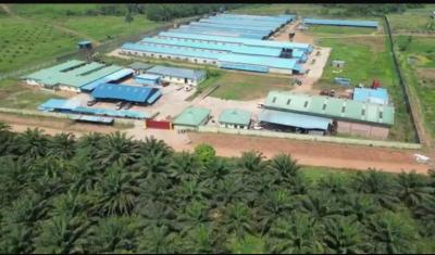 Poultry Farm, Ijebu East, Ogun, Factory for Sale