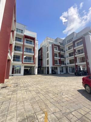 Well Built 3 Bedroom Duplex with Pool, Gym and Bq, Fully Serviced 3 Bedroom Apartment for Rent, Oniru, Victoria Island (vi), Lagos, Flat / Apartment for Rent