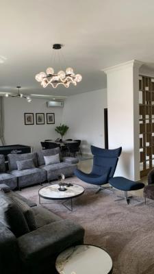 Nicely Furnished 3 Bedroom Apartment, Wuse 2, Abuja, Flat / Apartment Short Let