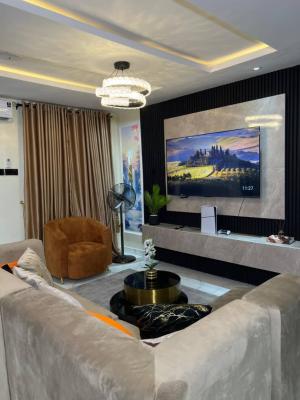 Nicely Furnished 3 Bedroom Apartment, Surulere, Lagos, Flat / Apartment Short Let