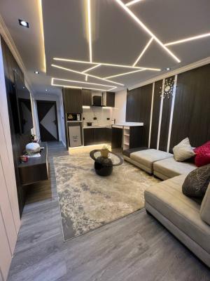 Nicely Furnished 1 Bedroom Apartment, Magodo, Lagos, Flat / Apartment Short Let