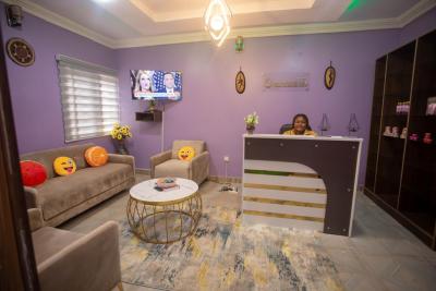 Fully Furnished Functional Spa in 3 Bedroom Duplex with, Area 2 Shopping Centre, Garki, Abuja, Terraced Duplex for Rent