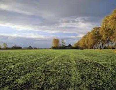 2275sqm Land, Banana Island, Ikoyi, Lagos, Residential Land for Sale