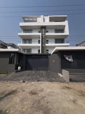 Beautiful 2 Bedroom Apartment with Quality Facilities, Ikate, Lekki, Lagos, House for Rent