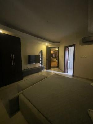 Luxurious Furnished 2 Bedroom Apartment with Excellent Facilities, Ikate, Lekki, Lagos, Flat / Apartment for Rent